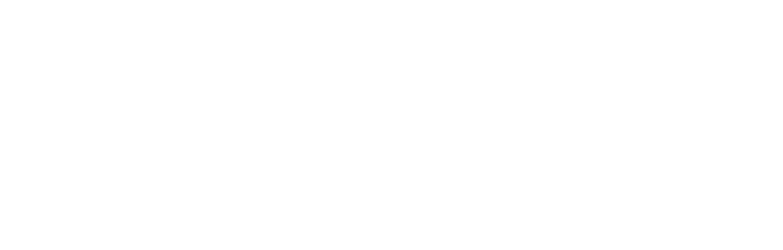 Leipziger SV S&uuml;dwest